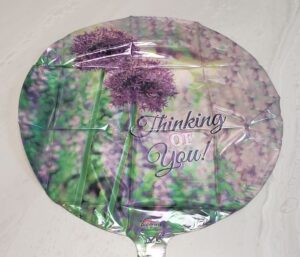 Balloon - Thinking of You