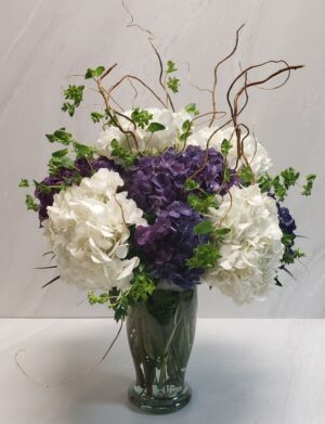 A selection of purple and white hydrangeas in a clear vase with bupleurum and curly willow.