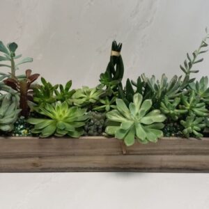 A long planter full of a variety of succulents finished with decorative stones.