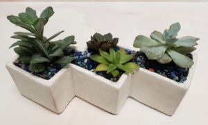 Modern white planter with succulents