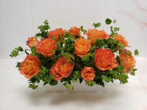 A low contemporary dozen rose arrangement with freespirit roses and bupleurum