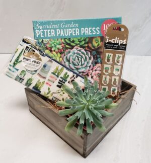 Wooden planter full of succulent themed gifts including a puzzle, bookmarks, and pencil case.