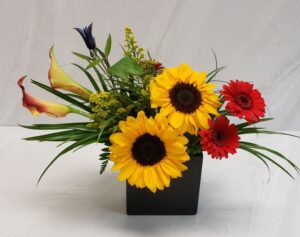 A modern arrangement of sunflowers, germinis, and calla lilies in a square container