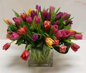 50 multicolored tulips arranged in a glass cube