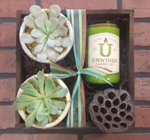 Wooden gift box with two succulents and an Unwined candle