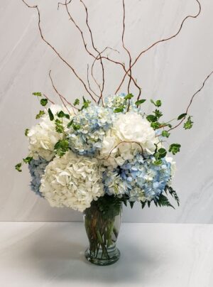 Light blue and white fluffy hydrangeas with curly willow and bupleurum in a clear glass vase.