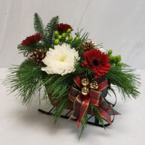 A small holiday arrangement of red and white blooms, and pinecones in a wooden slay container