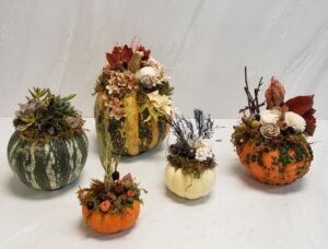 Pumpkinpalooza, Saturday, October 11th 11am