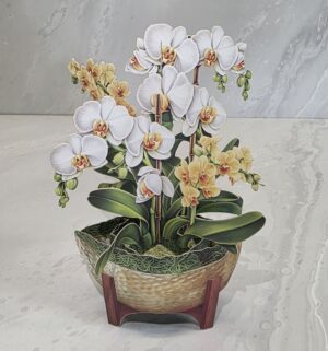 Card- Serenity Orchid