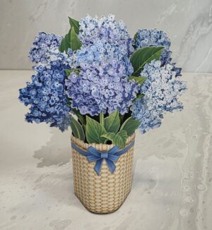 Card - Nantucket Hydrangea